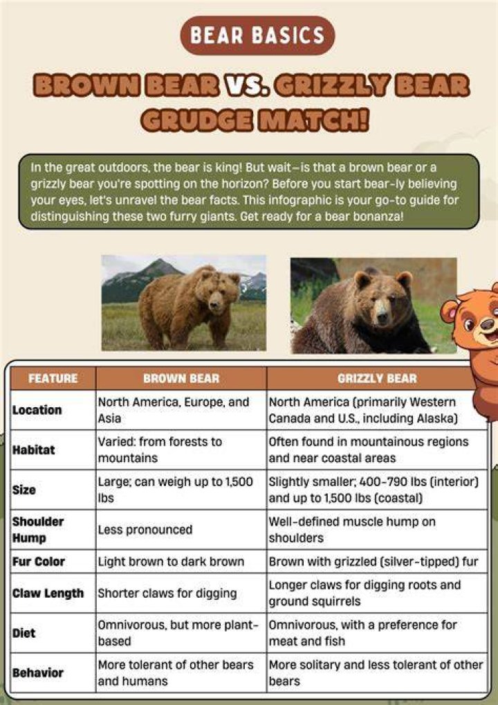 Are Brown Bears and Grizzly Bears Different? Exploring the Fascinating World of Ursus Arctos