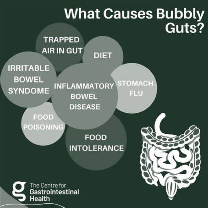 Bubble Guts Poop: Understanding Causes, Symptoms, and Treatments