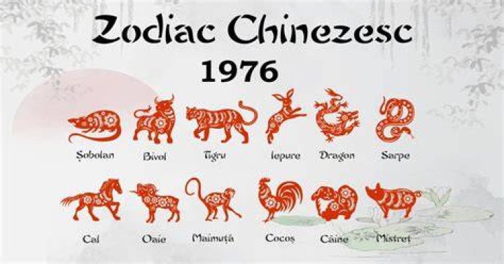 Chinese Year 1976 Animal: Discover Your Zodiac Sign and Its Influence