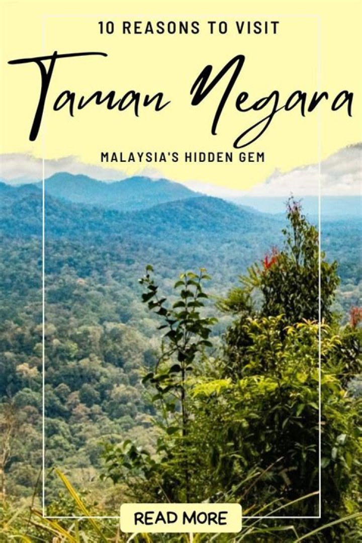 Exploring the Wonders of Malaysia Pargo Children: A Comprehensive Guide