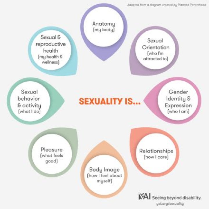 Exploring the World of Sexuality: Understanding Sexual Health and Wellness