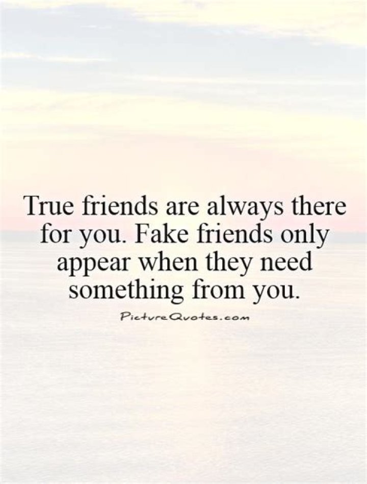 Fake Friends: They Only Remember You When They Need You Quotes