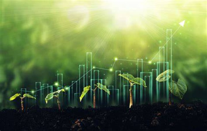 Fishkin Benefits: Unlocking the Potential of SEO Genius