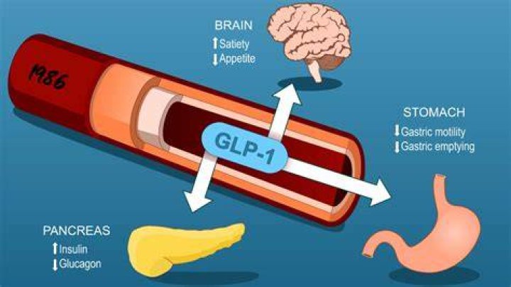 GLP-1 LEMME: The Revolutionary Weight Loss and Diabetes Management Solution