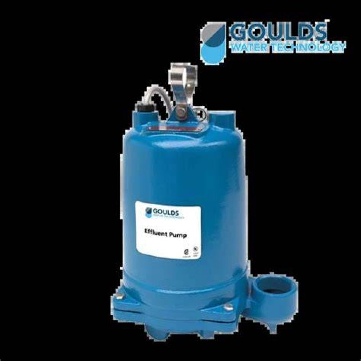 Goulds Pumps Inc: A Comprehensive Guide to the Leading Water Systems Manufacturer