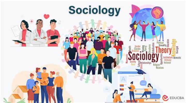 Gregarious Definition: Understanding the Art of Sociability and Its Impact on Life