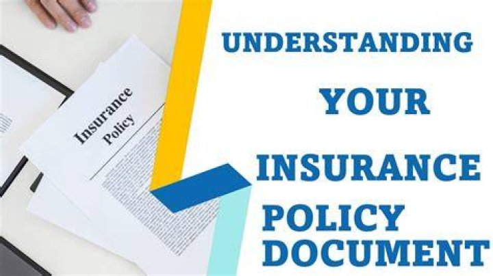Health Rangers: The Ultimate Guide to Understanding Their Role and Importance