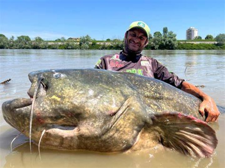 Is Max Back on Catfish? The Latest Updates and Exclusive Insights