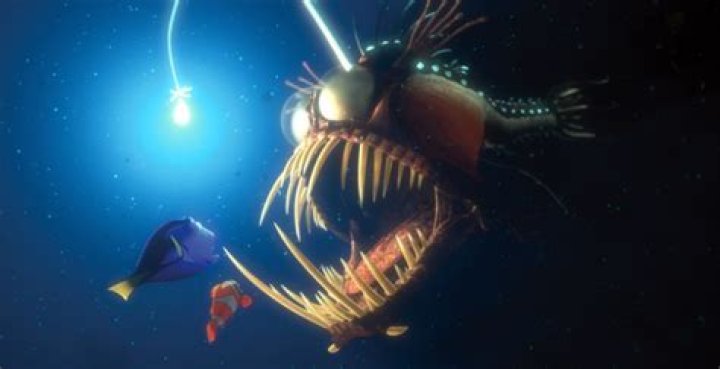Nemo Anglerfish: The Depths of the Ocean's Mystical Creature