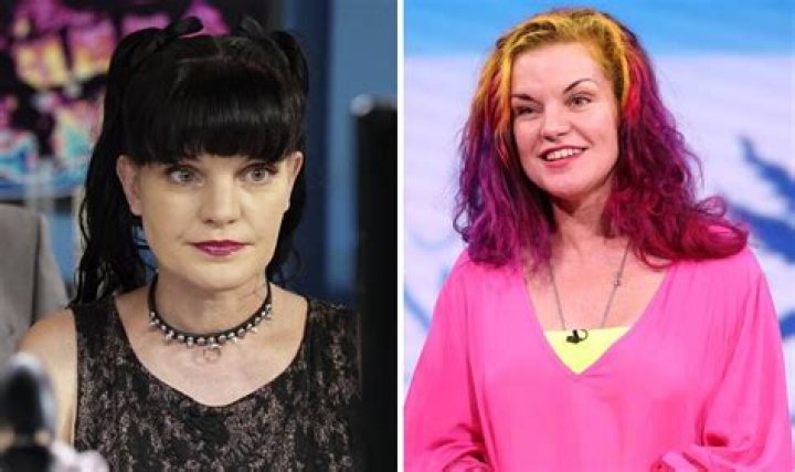 Pauley Perrette from 'NCIS' Says She's Done with Acting: A Comprehensive Look