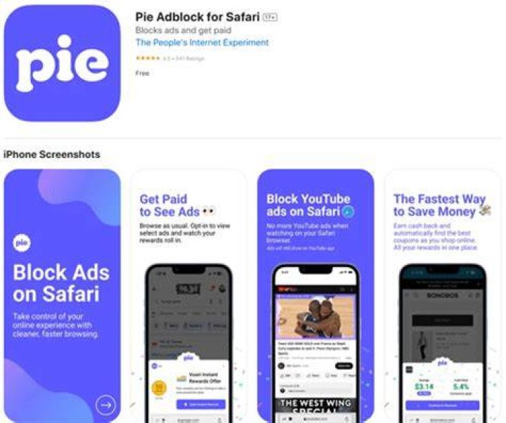 Pie Adblock Girl: The Phenomenon Shaping Digital Advertising