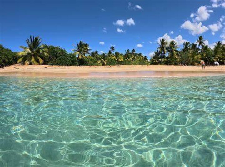 Puerto Rico Bahia: Discovering the Hidden Gem of the Caribbean