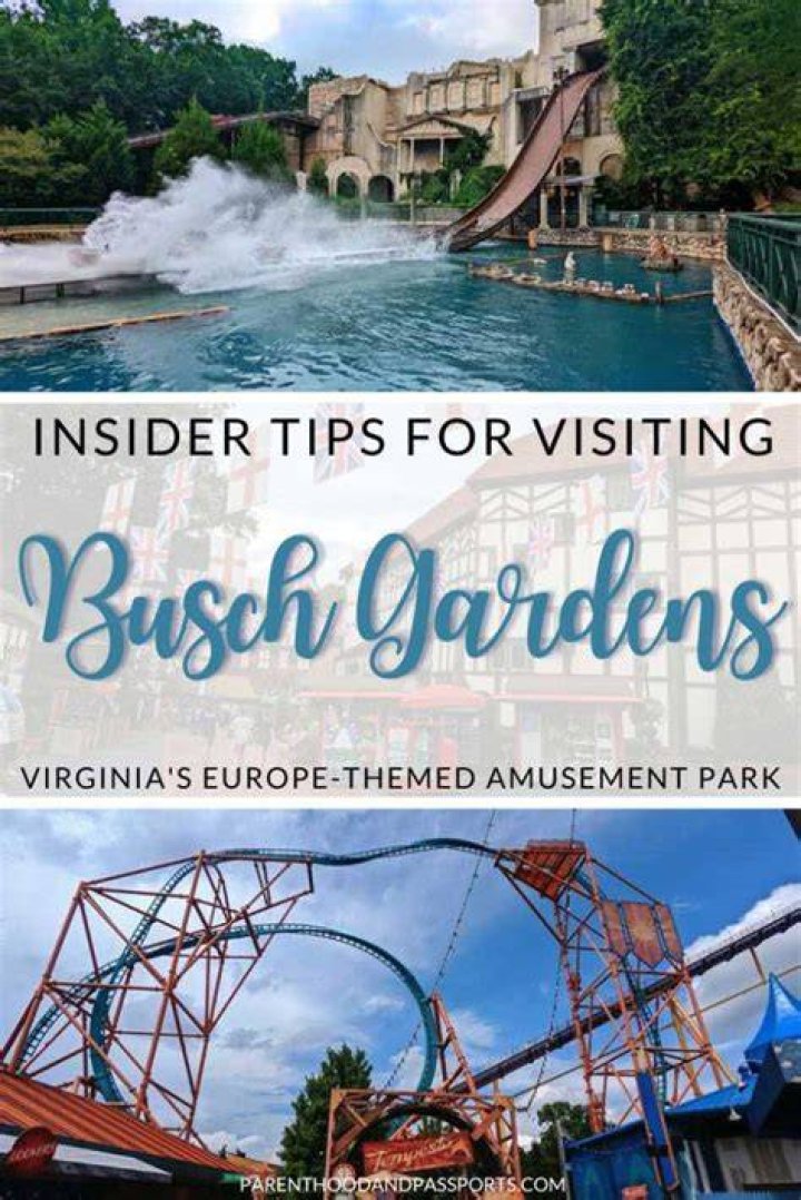 Top Things to Do Near Busch Gardens VA: A Comprehensive Guide