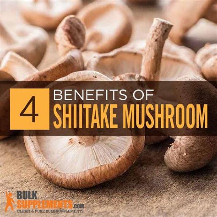 Unlock the Power of Shiitake Mushroom Benefits for a Healthier You