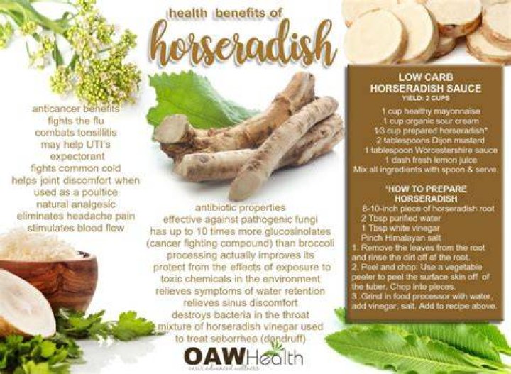 Unveiling the Health Benefits of Horseradish: A Root with Remarkable Properties