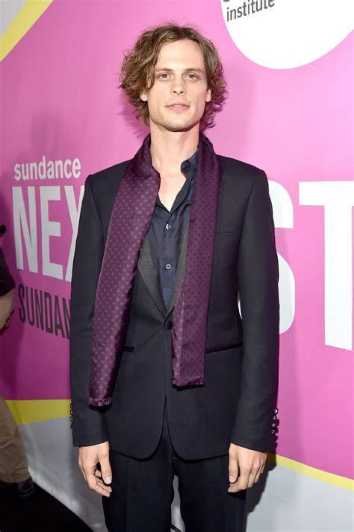Who Is Matthew Gray Gubler's Wife? Discover the Life and Love Behind the Iconic Actor